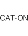 Cat On