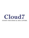 Cloud 7